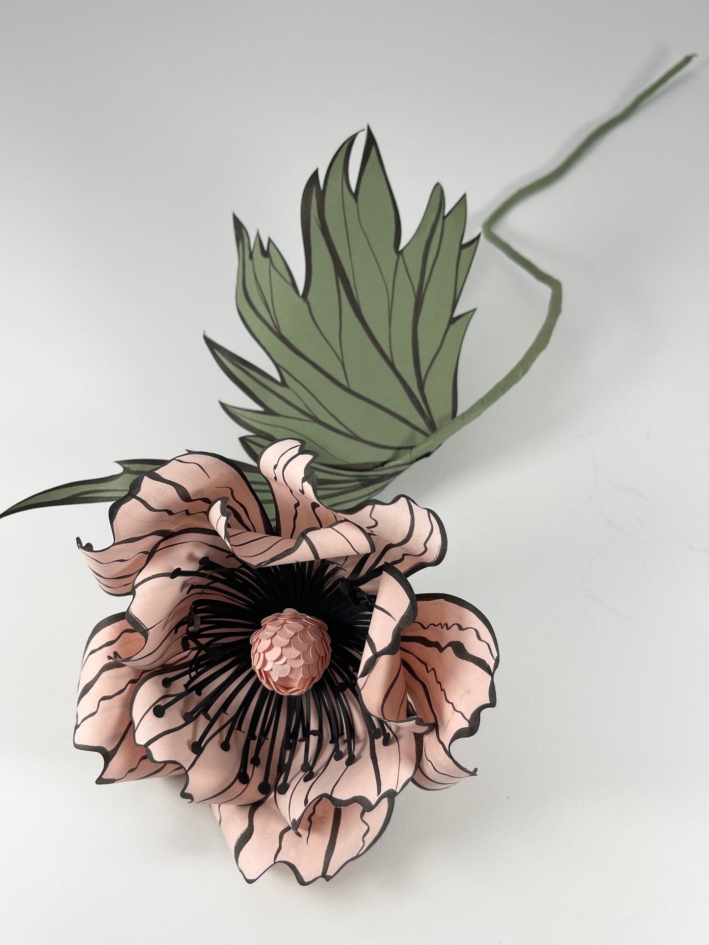 Paper Oriental Poppy Flower - Shell Pink