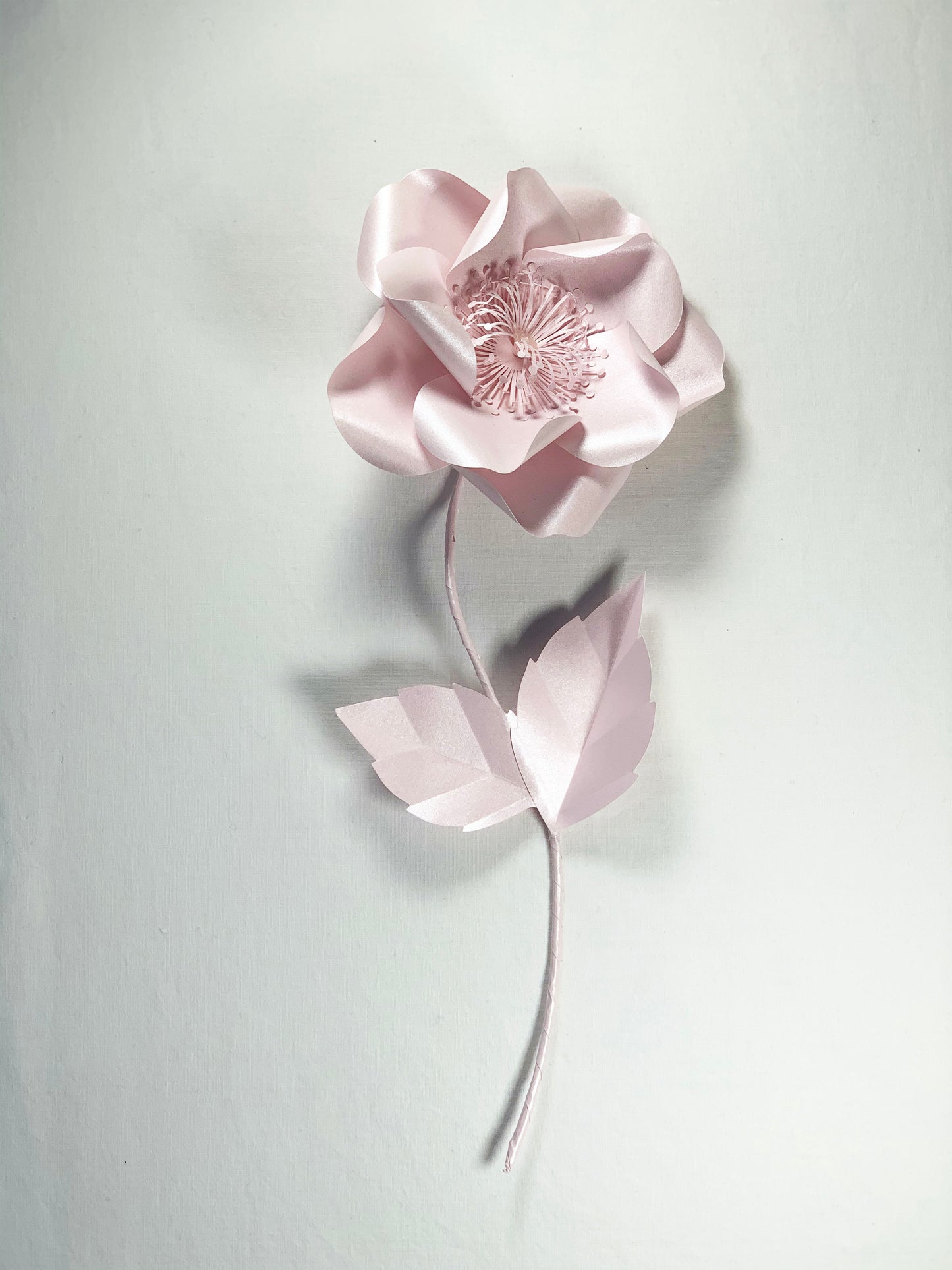 Flor de cerezo rosa eterna