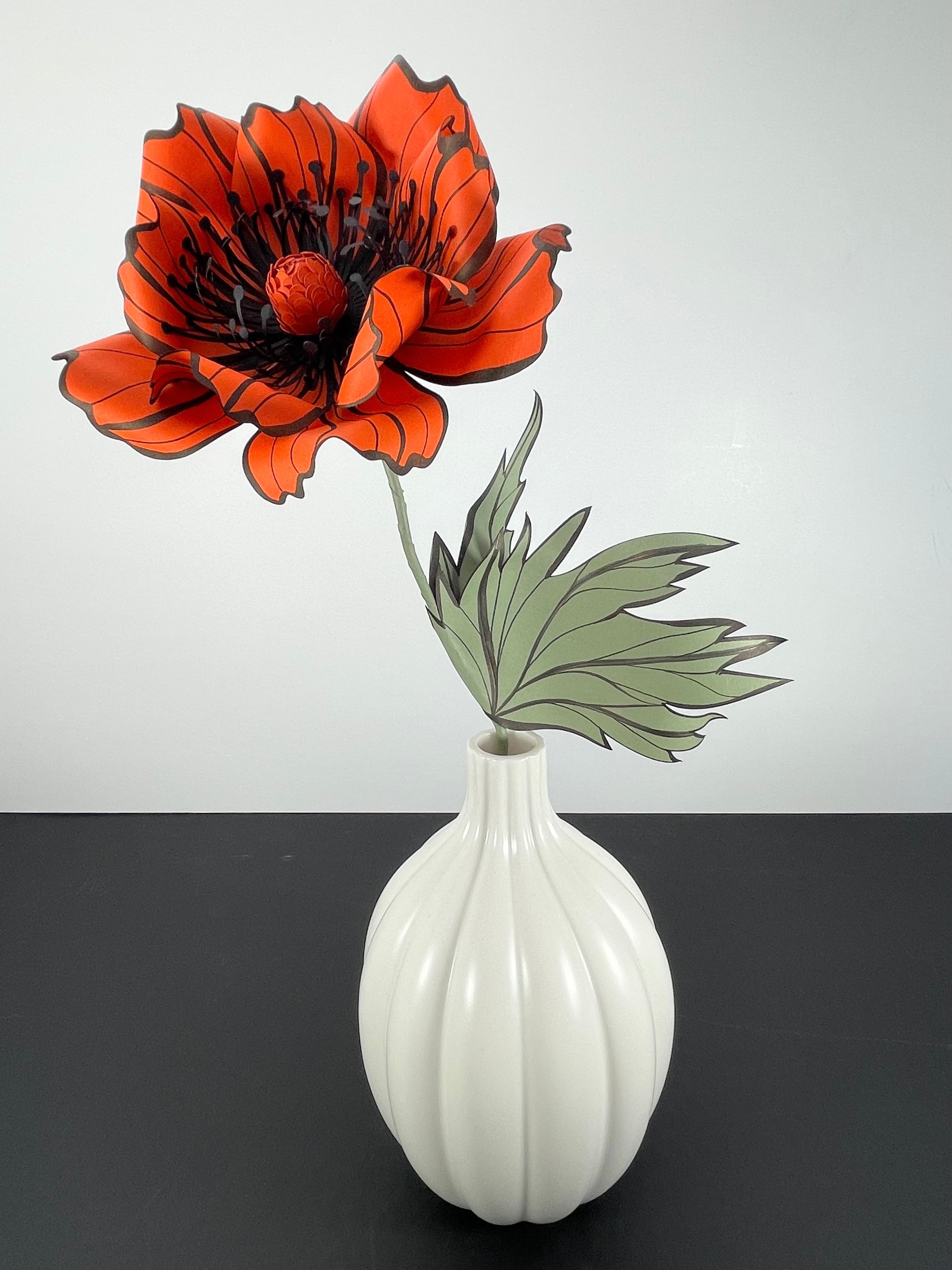 Burnt orange poppy