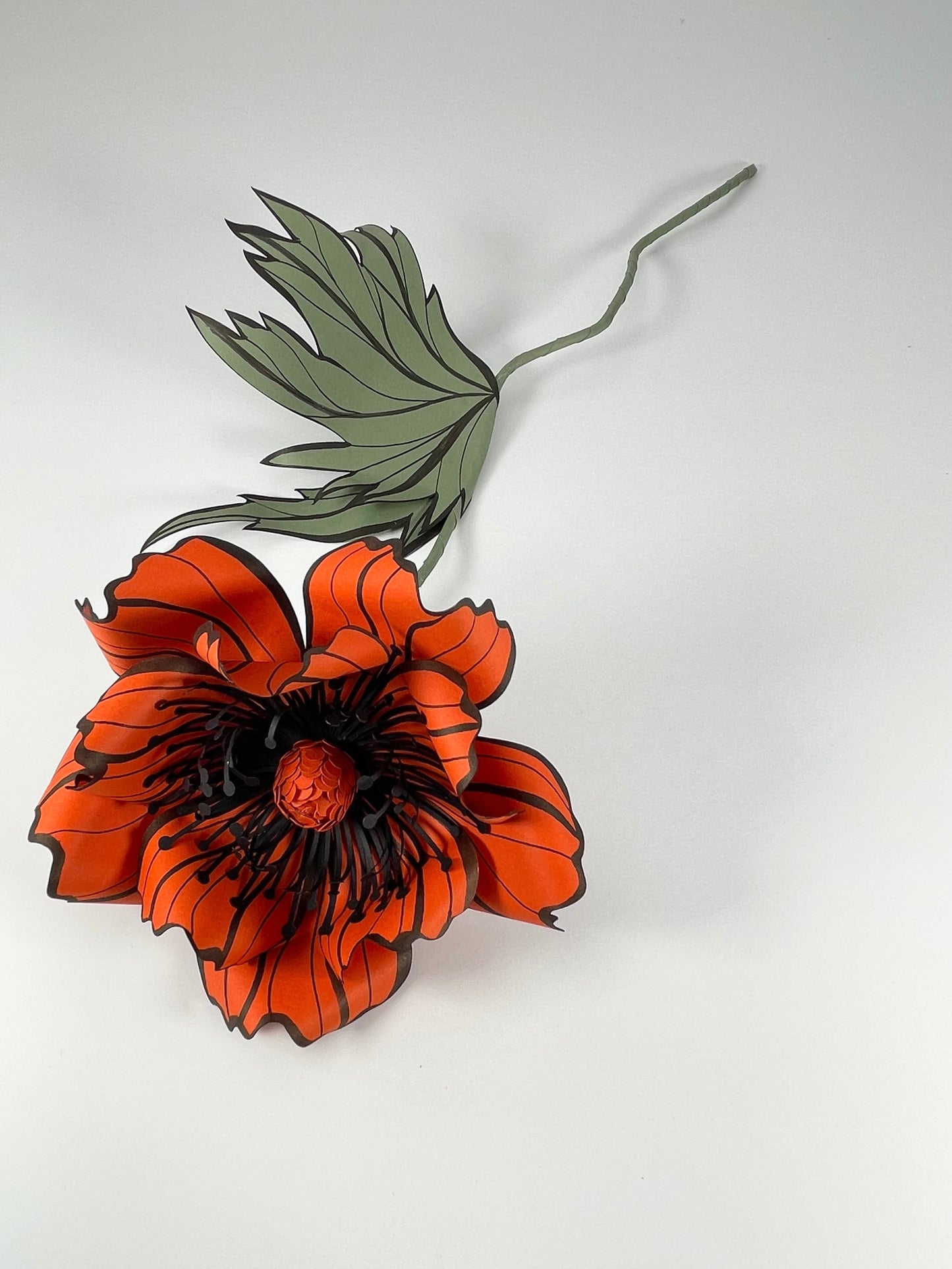 Orange Paper Oriental Poppy Flower