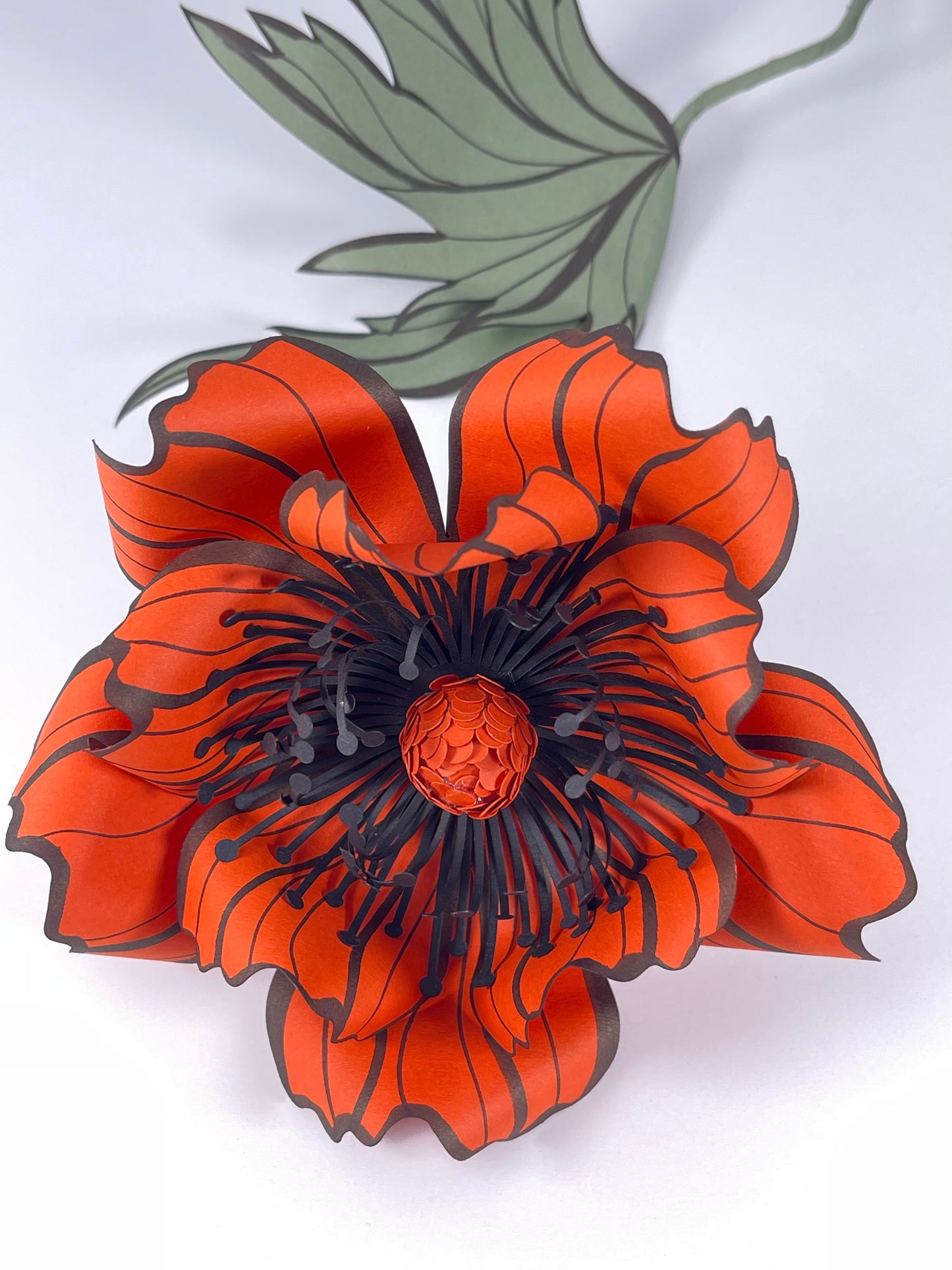 Orange Paper Oriental Poppy Flower