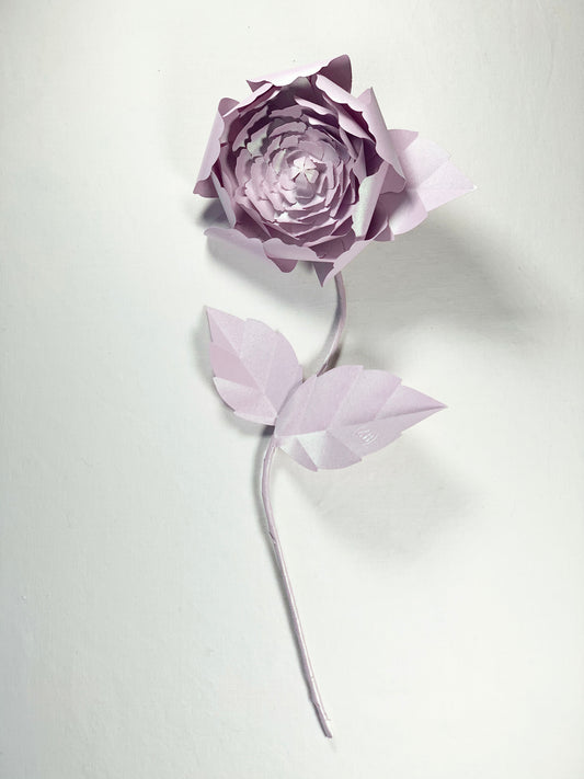 Pivoine de papier lilas éternelle