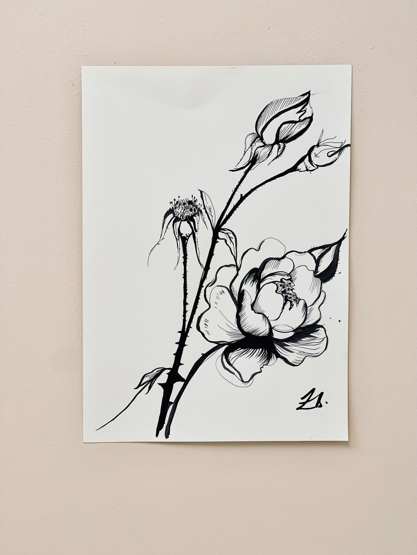Original Illustration - Blooming Rose