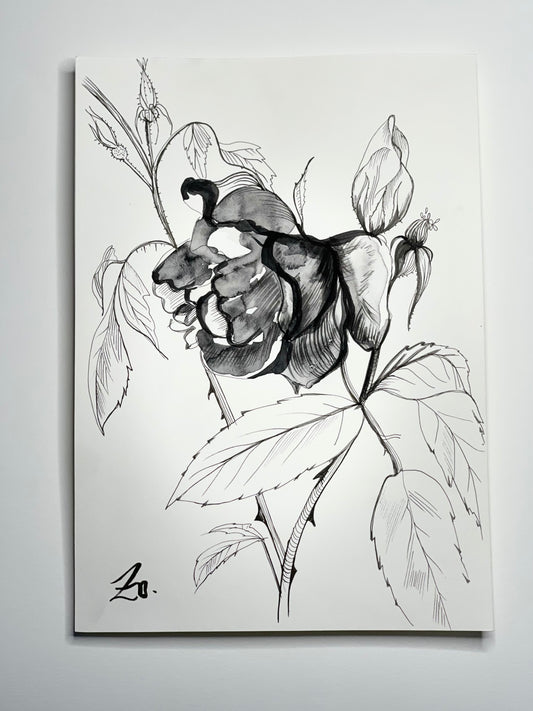 バラの茎のイラスト-元のイラスト