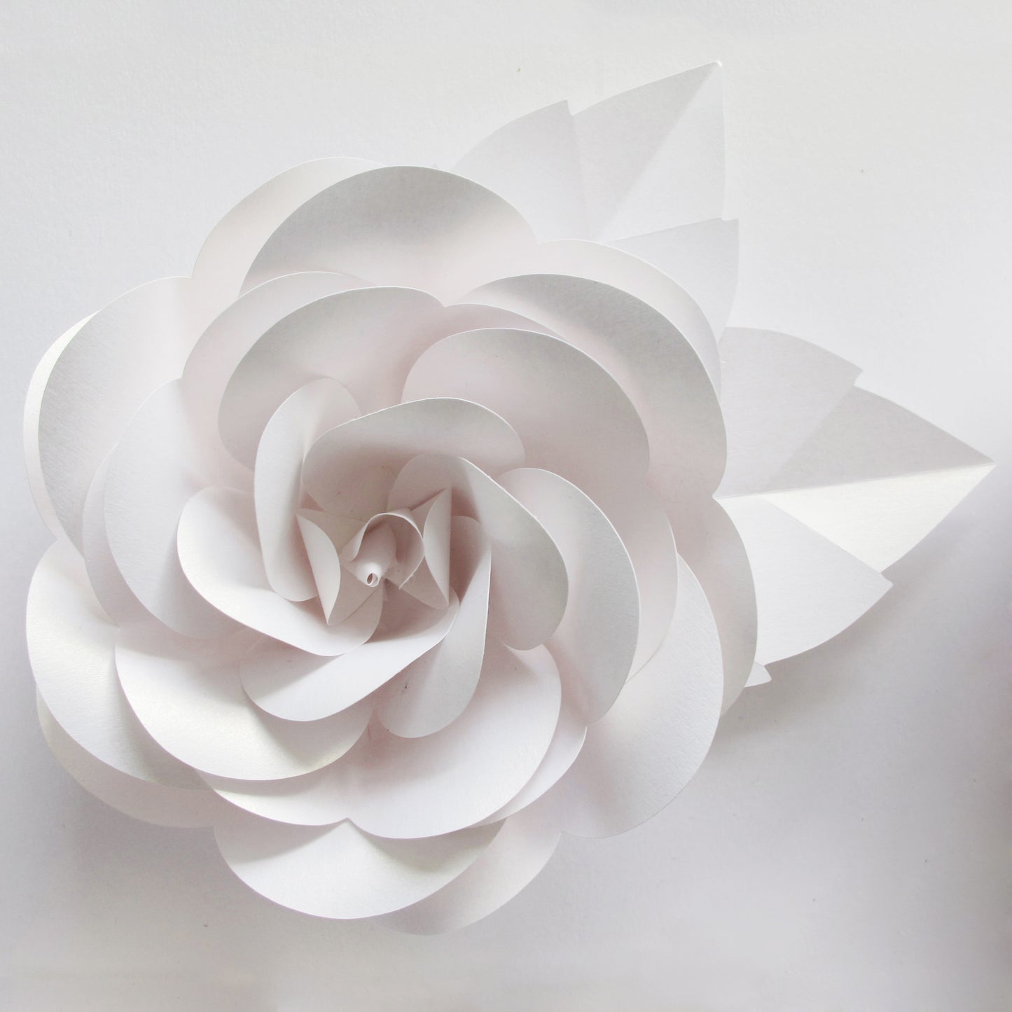 3D Original Artwork - Rose